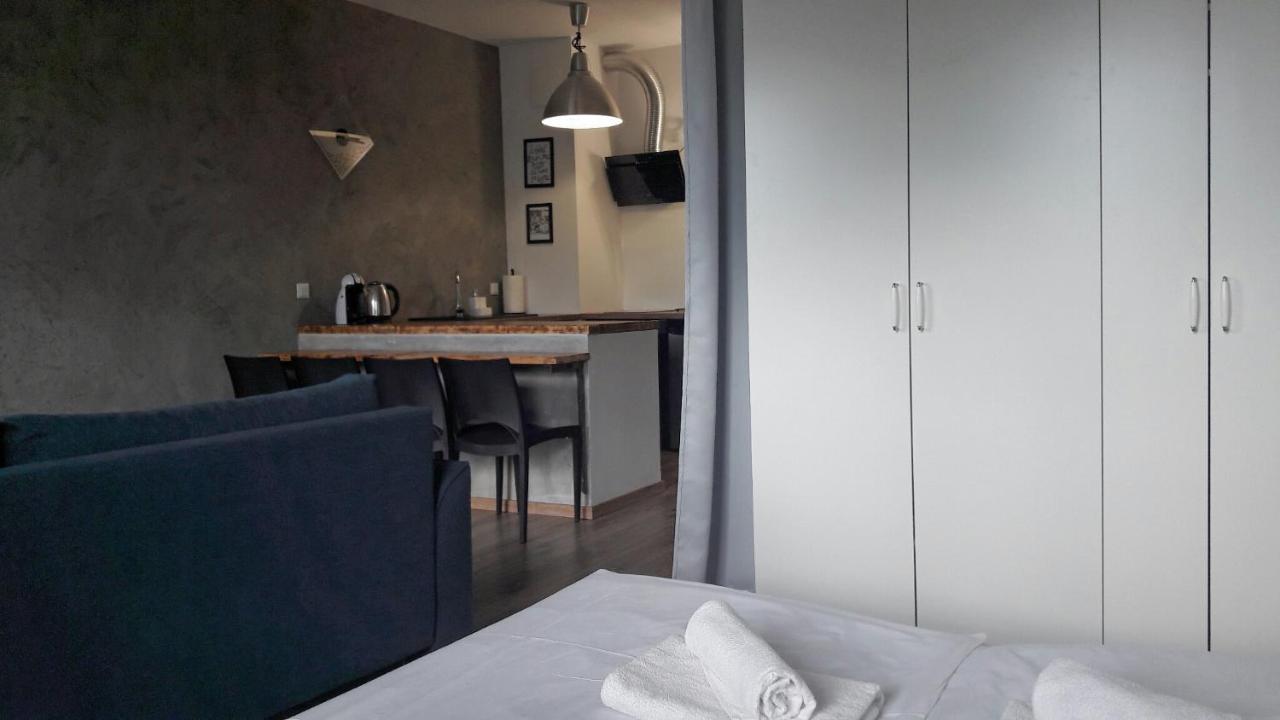 Silver Apartment In Wilanow Varšava Exteriér fotografie
